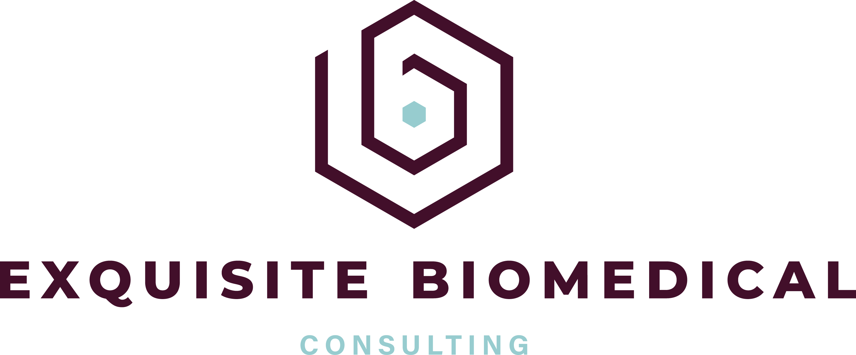 Exquisite Biomedical Consulting logo